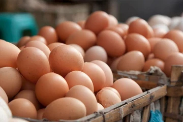 முட்டைகளை இறக்குமதி செய்ய நடவடிக்கை