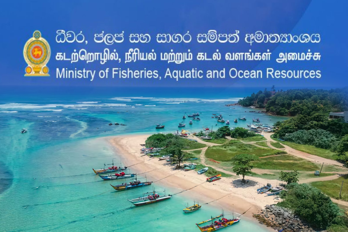 வளைகுடா பதற்றம்; கடற்றொழில் திணைக்களம் விடுத்த எச்சரிக்கை | Gulf Tension Fisheries Department Issues Warning