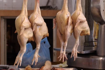 கோழி இறைச்சிக்குள் காணப்பட்ட அபாய பொருள்