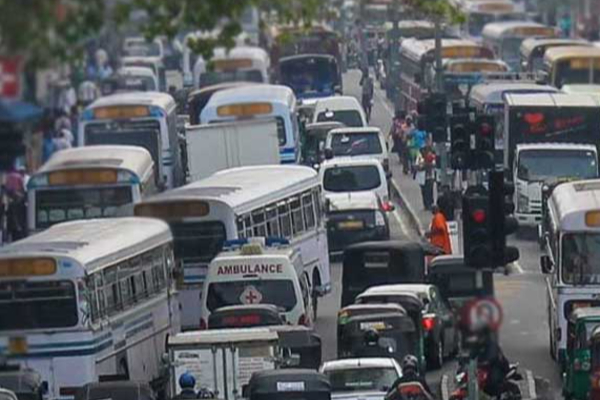 காட்டு யானையால் போக்குவரத்து தடை! | Wild Elephant Blocks Traffic For 10 Minutes