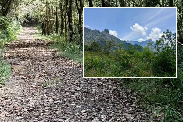 5,000 அடி உயர்த்தில் ஒரு அபிவிருத்தி! விமர்சனத்துக்குள்ளான முக்கிய திட்டம் | Severe Crisis Caused By The Provision Of Forests 5,000 அடி உயர்த்தில் ஒரு அபிவிருத்தி! விமர்சனத்துக்குள்ளான முக்கிய திட்டம் | Severe Crisis Caused By The Provision Of Forests