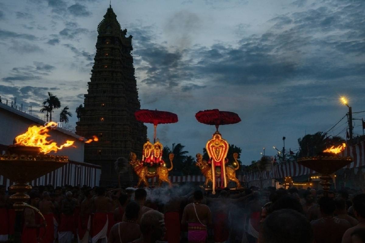 மகர வாகனத்தில் அருட்காட்சி அளித்த நல்லூர் கந்தன் ; நாளை மஞ்சத் திருவிழா | Nallur Kandan Performed Auspicious Makara Vahana