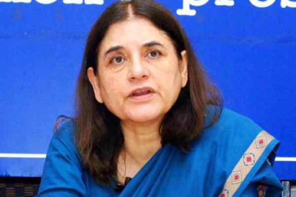 தேர்தல் பிரச்சாரத்தில் வழுக்கி விழுந்த மேனகா காந்தி: உபியில் பரபரப்பு | Menaka Gandhi Mp Fell Down In Up தேர்தல் பிரச்சாரத்தில் வழுக்கி விழுந்த மேனகா காந்தி: உபியில் பரபரப்பு | Menaka Gandhi Mp Fell Down In Up