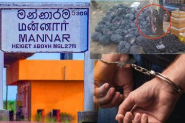 யாழ்ப்பாணத்திற்கு கடத்தப்பட்ட கடல் ஆமை இறைச்சி : இருவர் சிக்கினர்