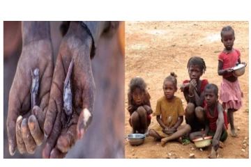 கொடூர பஞ்சம்? வெட்டுக்கிளி பூச்சிகளை சாப்பிட்டு வாழும் மடகாஸ்கர் மக்கள் - நெஞ்சை கனக்கும் புகைப்படம்