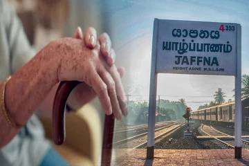 யாழில் வளர்ப்பு நாயால் மூதாட்டிக்கு நேர்ந்த துயரம்