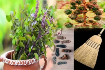 துளசி செடியின் அருகில் தவறியும் இதையெல்லாம் வைக்காதீர்கள்.... துர்திஷ்டம் ஏற்படுமாம்