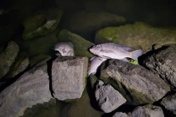 வவுனியா மக்களுக்கு விடுக்கப்பட்ட முக்கிய எச்சரிக்கை