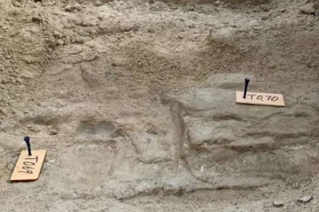 23000 ஆண்டுகளுக்கு முன்னர் வாழ்ந்த ஆதிகால மனிதர்களின் காலடித்தடம்