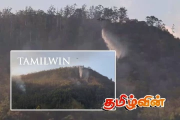 மஸ்கெலியா - ஹமில்டன் வனப்பகுதியில் ஏற்பட்ட தீ : எரிந்து நாசமாகியுள்ள நிலப்பரப்பு