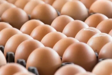 බිත්තර ගැන වෙළද ඇමතිගෙන් ප්‍රකාශයක්..