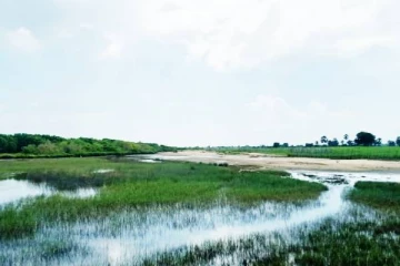 பச்சைப்புல்மோட்டை மாவீரர் துயிலும் இல்லத்தில் மறக்கப்பட்ட மாவீரர் நாள் நிகழ்வுகள் (படங்கள்)