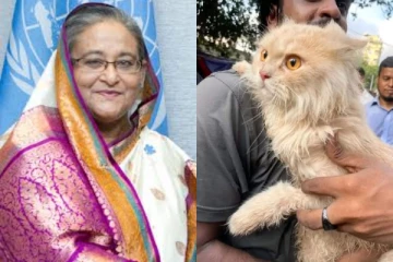 අරගරලකරුවන් සොරාගත් රටේම අවධානය දිනාගත් ශෙයික් හසීනාගේ ආදරණීය සුරතලා..