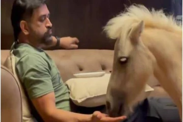 இது வீடா..?? இல்லை வனவிலங்கு பூங்காவா..?? நடுவீட்டில்  குதிரையுடன் தோனி..!!