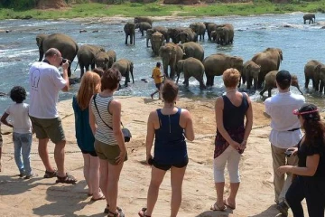 இரண்டு தினங்களில் இவ்வளவு சுற்றுலா பயணிகளா ? ஆச்சரியத்தில்  இலங்கை