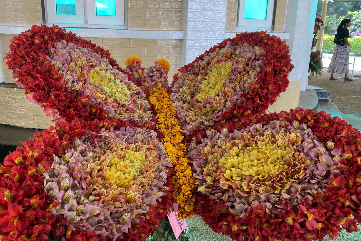 நுவரெலியாவில் கண்ணை கவரும் மலர் கண்காட்சி; குவிந்த சுற்றுலா பயணிகள் | Eye Catching Flower Exhibition In Nuwara Eliya