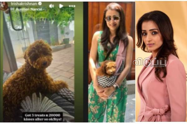 விஜய் கையில் இருந்த நாய்.. 20 ஆயிரம் முத்தங்களைக் கொடுத்த த்ரிஷா | Trisha Post With Her Dog Goes Viral