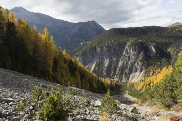 பிளாஸ்டிக்கையே ஜீரணிக்கும் நுண்ணுயிர்கள்: சுவிட்சர்லாந்தில் ஒரு அரிய கண்டுபிடிப்பு