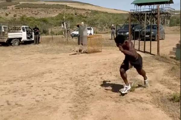 சிறுத்தையுடன் ஓட்டப்பந்தயம் வைத்த யூடியூப் பிரபலம்! படுவைரலாகும் காணொளி | Youtuber Speed Raced With Cheetah Video Viral சிறுத்தையுடன் ஓட்டப்பந்தயம் வைத்த யூடியூப் பிரபலம்! படுவைரலாகும் காணொளி | Youtuber Speed Raced With Cheetah Video Viral