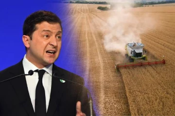 உக்ரைனில் தடுத்து வைக்கப்பட்டுள்ள தானியங்களின் அளவு இவ்வளவா? ஜெலென்ஸ்கி பகீர் தகவல்