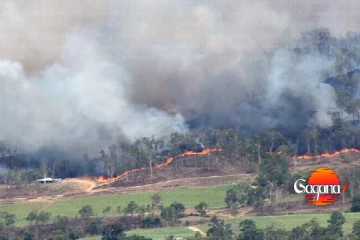 හැටන් ඇරෝල්වත්ත රක්ෂිතයේ ගින්නක්