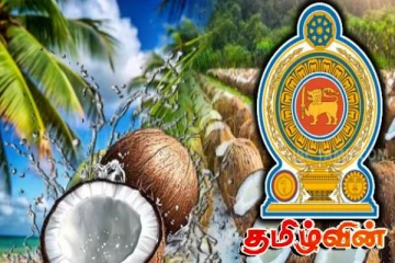 வரலாற்று உச்சத்தை பதிவு செய்த தேங்காய் ஏற்றுமதி! கிடைக்கப்பெற்ற பெருந்தொகை