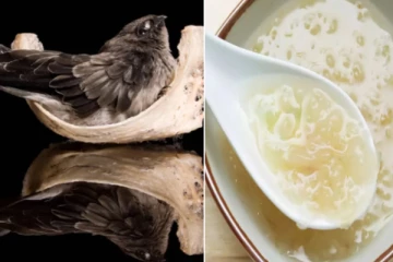 பறவை எச்சம் நிறைந்த சூப்; 500 கிராம் ரூ.1.6 லட்சம் - சுவைக்க ஆர்வம் காட்டும் சீன மக்கள்!