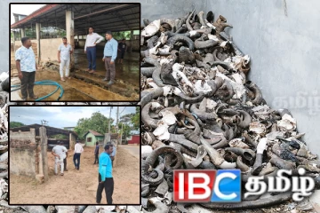 வவுனியா விலங்கறுமனை சுகாதார சர்ச்சை தொடர்பில் முக்கிய நடவடிக்கை
