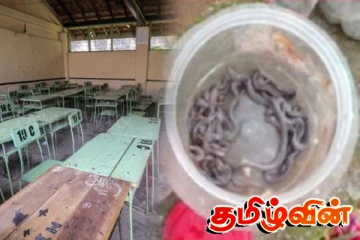 குருநாகல் பாடசாலையொன்றில் இருந்து ஏராளம் பாம்புகள் மீட்பு