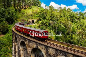 ආරුක්කු 09 පාලම අසළදී තරුණියකට අවාසනාවන්ත ලෙස දිවි අහිමි වෙයි.