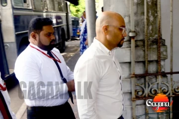 මනූෂ නානායක්කාරගේ පුද්ගලික ලේකම්ට ඇප