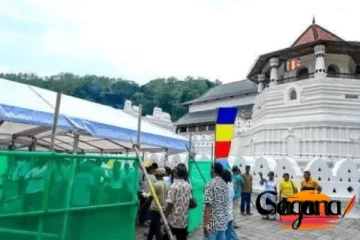 සිරි දළදා වන්දනාව ගැන සැඟවුණු කතාවක් එළියට හැමෝටම වඳින්න තිබුණු චාන්ස් එකක් මිස් වෙලා