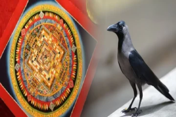 காகம் அடிக்கடி வீடு தேடி வந்தால் என்ன அர்த்தம் தெரியுமா?