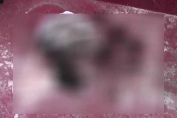 මෙහෙණින් වහන්සේව එළවන්න ප්ලෑන් කරලා ආරාමයට මිනී ඔළුවක් ගෙනත් දාලා