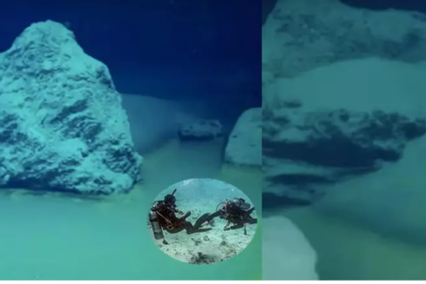 எந்த ஒரு உயிரினமும் உடனடியாக உயிரிழந்துவிடும்; விஞ்ஞானிகள் பகீர் தகவல்! | An Underwater Wonderland