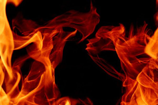 வனப்பகுதிகளில் இடம் பெற்ற தீப்பரவல் | Fire Spread In Forest Areas