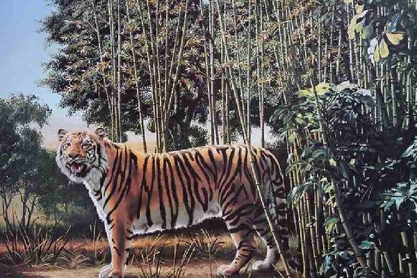 இந்த படத்தில் மறைந்திருக்கும் இன்னுமொரு புலி எங்கே உள்ளது? | Optical Illusion Iq Test Spot The Hidden Tiger இந்த படத்தில் மறைந்திருக்கும் இன்னுமொரு புலி எங்கே உள்ளது? | Optical Illusion Iq Test Spot The Hidden Tiger