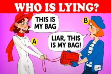 IQ Test: திருட்டு போன சிவப்பு நிற பை- உண்மையான சொந்தகாரர் யார்? கண்டுபிடிங்க