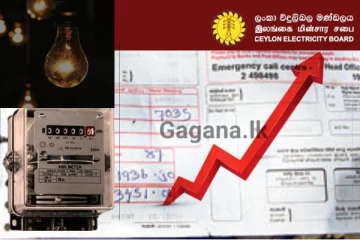 විදුලි ගාස්තු සංශෝදනයට අදහස් විමසීමේ විශේෂ මහජන උපදේශන සැසිය