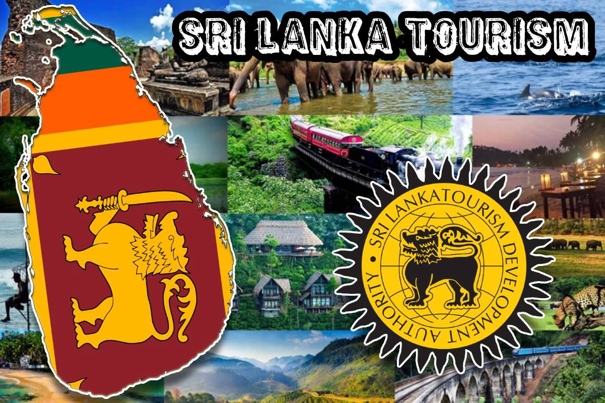 இலங்கை வரும் சுற்றுலாப் பயணிகளின் எண்ணிக்கை அதிகரிப்பு | Sri Lanka Recorded 904855 Tourist Arrivals Russia