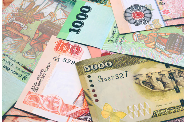 தமிழீழ விடுதலைப்புலிகளின் காலத்தில் தன்னிறைவு பெற்ற மக்கள்! நாடாளுமன்றில் தெரிவித்த எம்பி.. | Ravikaran Mp Make Equal Quotas North And The South