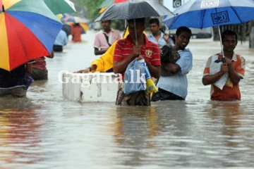 කොළඹට ආ නව ව්‍යාපෘතිය.