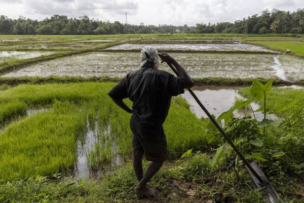 எரிபொருள் மானியம் குறித்து விவசாய அமைச்சர் வெளியிட்ட அறிவிப்பு | Agriculture Minister Regarding Fuel Subsidy