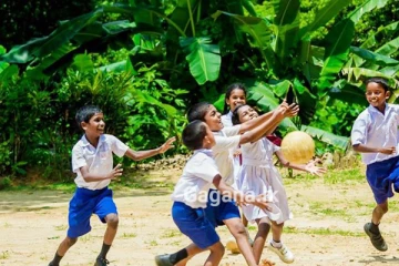 පාසල් සිසුන්ට එක පිට එක සුභ ආරංචි..ලබන වසරේ නොමිලේම ලැබෙන්න යන දේ..