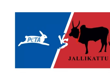 மீண்டும் ஜல்லிக்கட்டு தடையா ? - சீண்டும் பீட்டா அமைப்பு