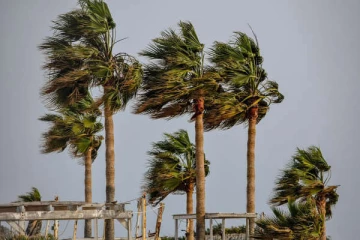 මුහුදු ප්‍රදේශවල සුළගේ වේගය පිළිබඳ විශේෂ දැනුම්දීම