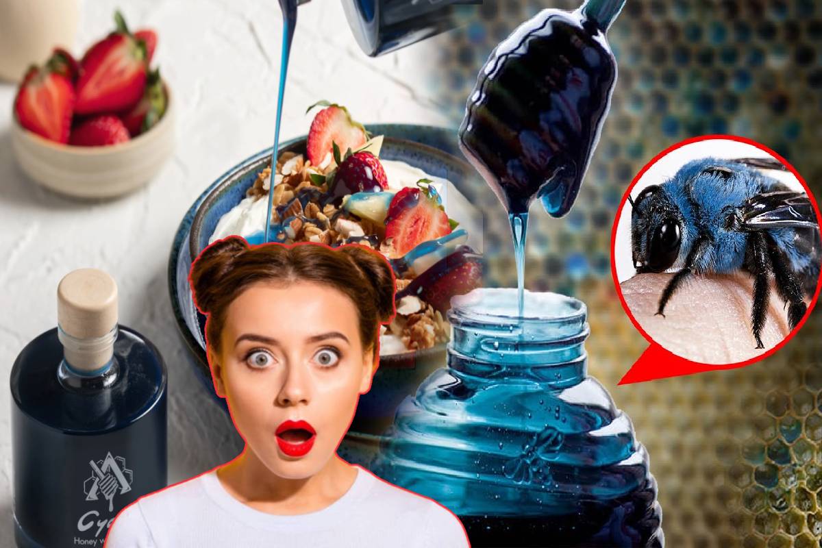 உலகிலயே மிக அதிசயமான நீல நிற தேன்! பின்னணியில் இருக்கும் காரணம் என்ன? | Where Does Blue Honey Come From