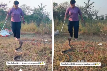 Viral Video: படமெடுத்து பெண்ணை விடாமல் துரத்திய பாம்பு... கடைசியில் நடந்தது என்ன?