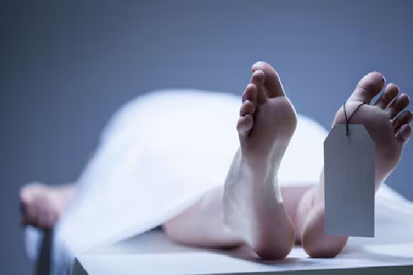 மரணம் வரவில்லை; யாழில் முதியவரின் விபரீத முடிவால் அதிர்ச்சி | Death Did Not Come Elderly Man Tragic End Jaffna