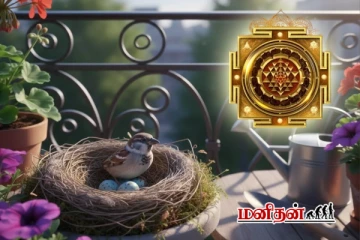 வீட்டு பால்கனியில் பறவை கூடு இருப்பது சுபமா? அசுபமா?